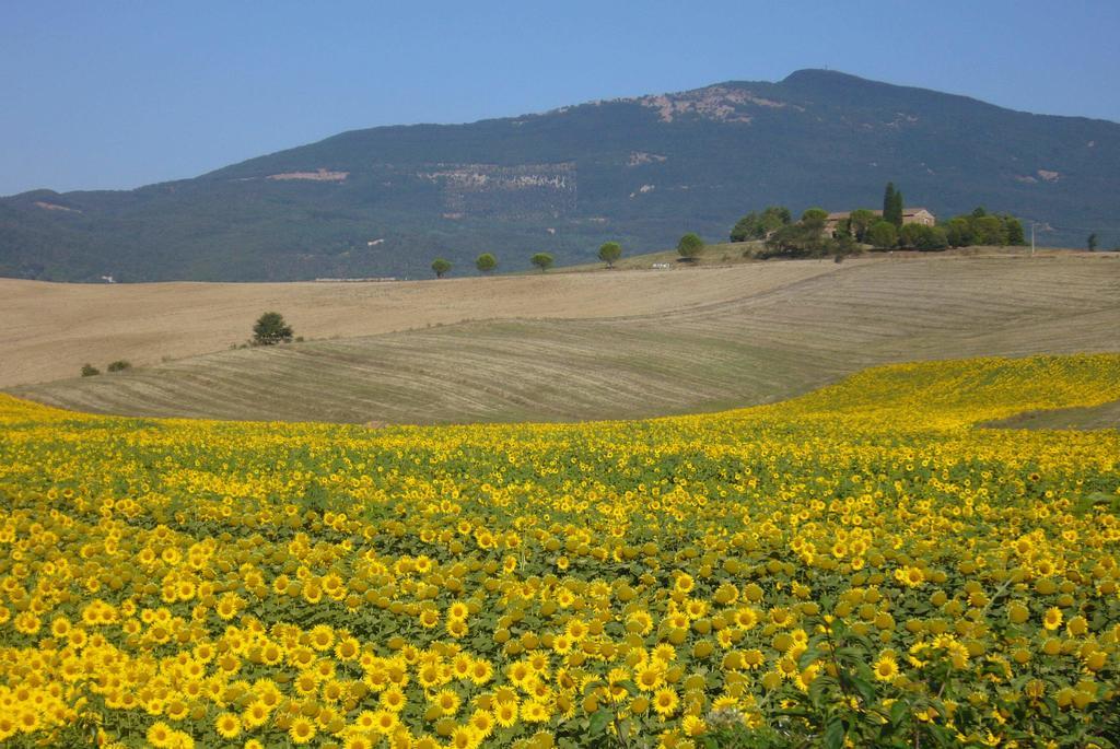 B&B Giuseppe Chiusi Bagian luar foto